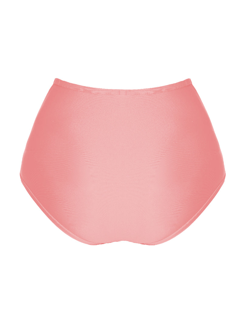 High Waist Dance Briefs - Pinks
