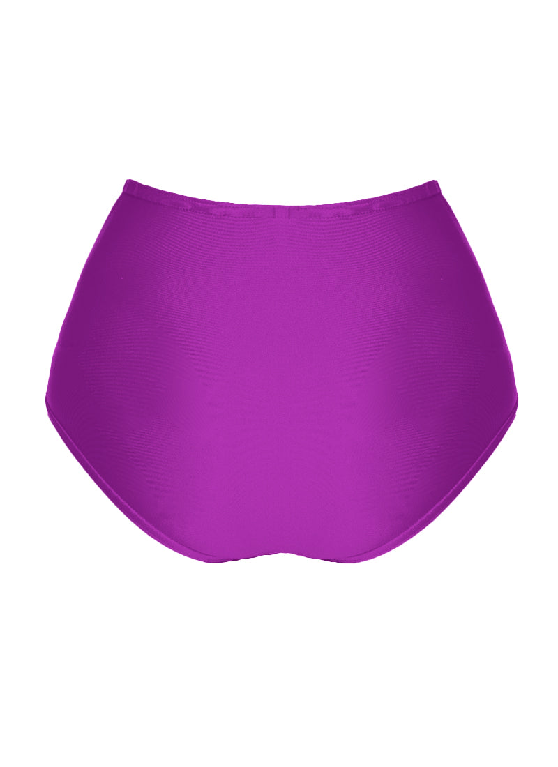 High Waist Dance Briefs - Purples
