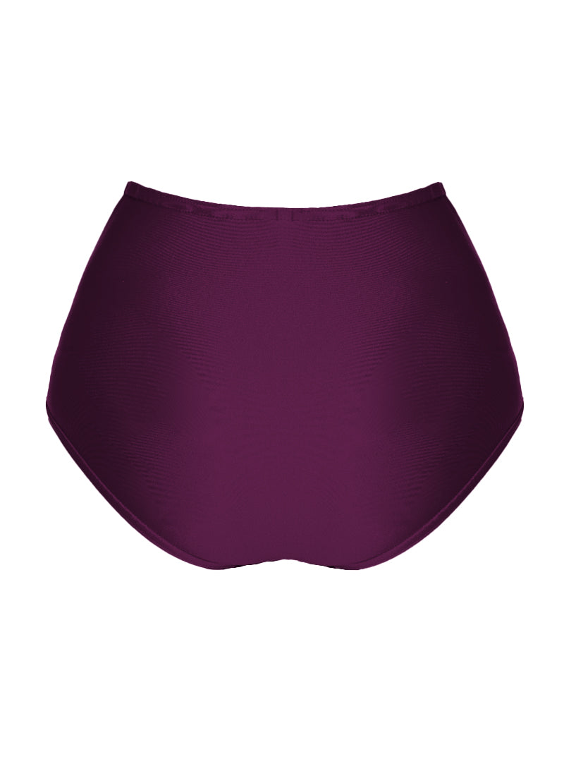 High Waist Dance Briefs - Purples