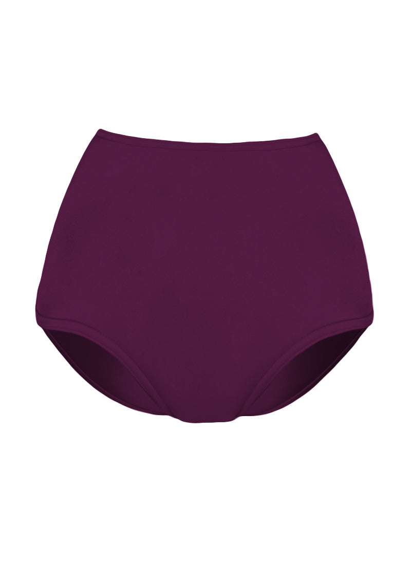 High Waist Dance Briefs - Purples