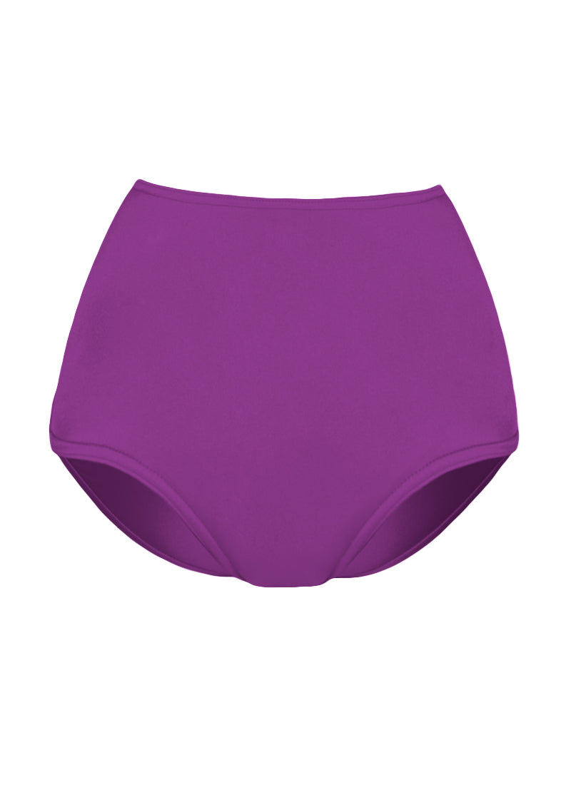 High Waist Dance Briefs - Purples