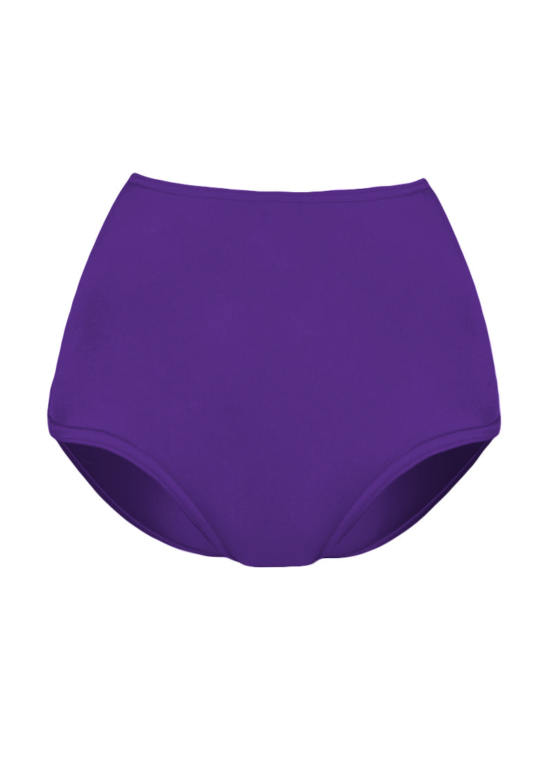 High Waist Dance Briefs - Purples